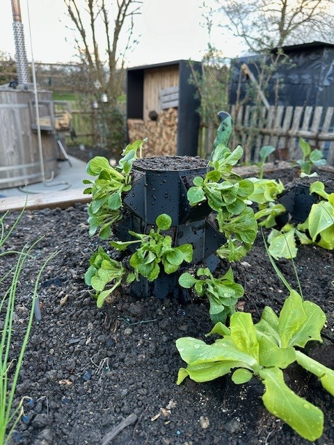 growtower, planttower, tower plant, planter,