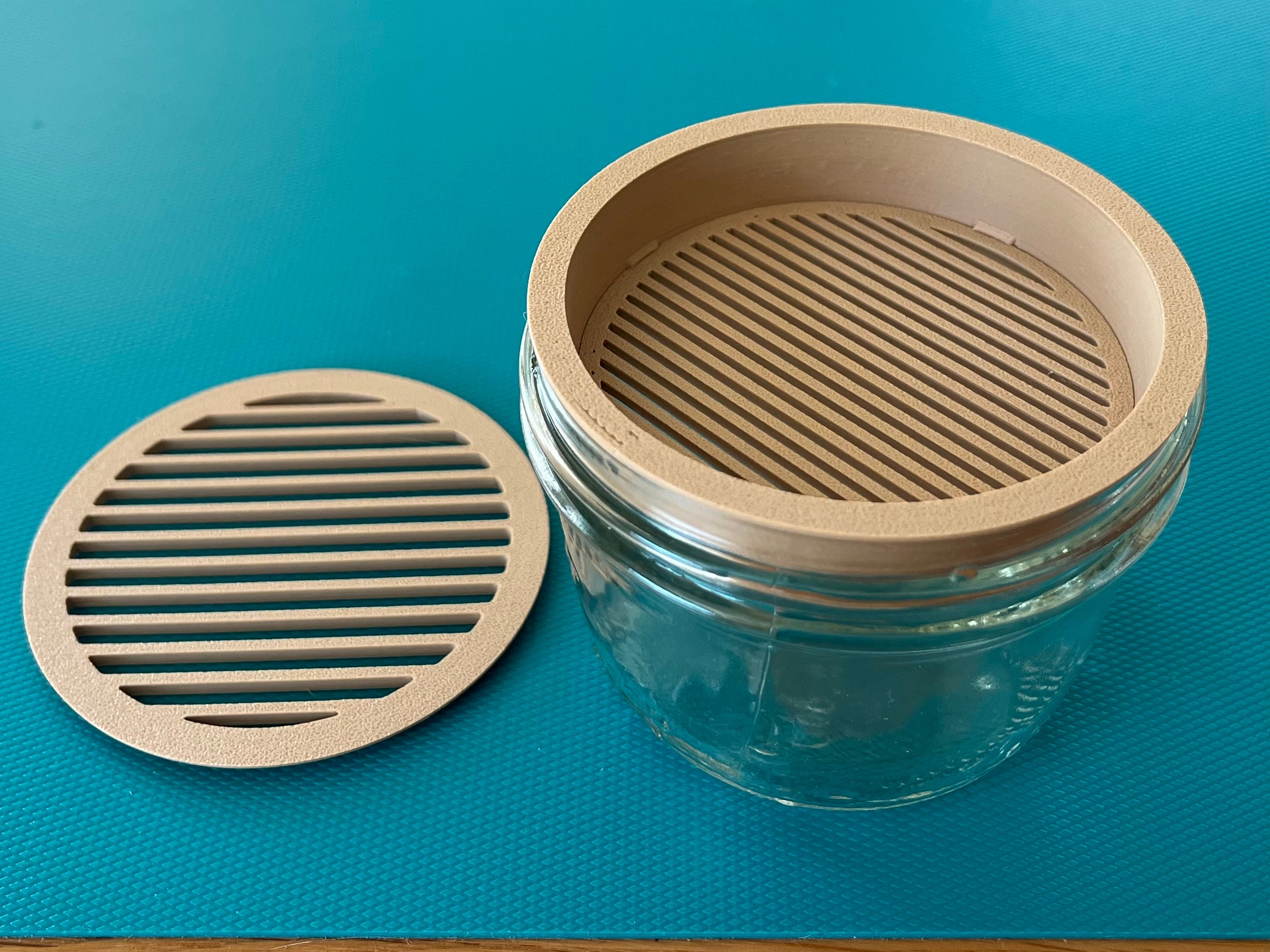 Cat Grass Growing Kit for Canning Jar