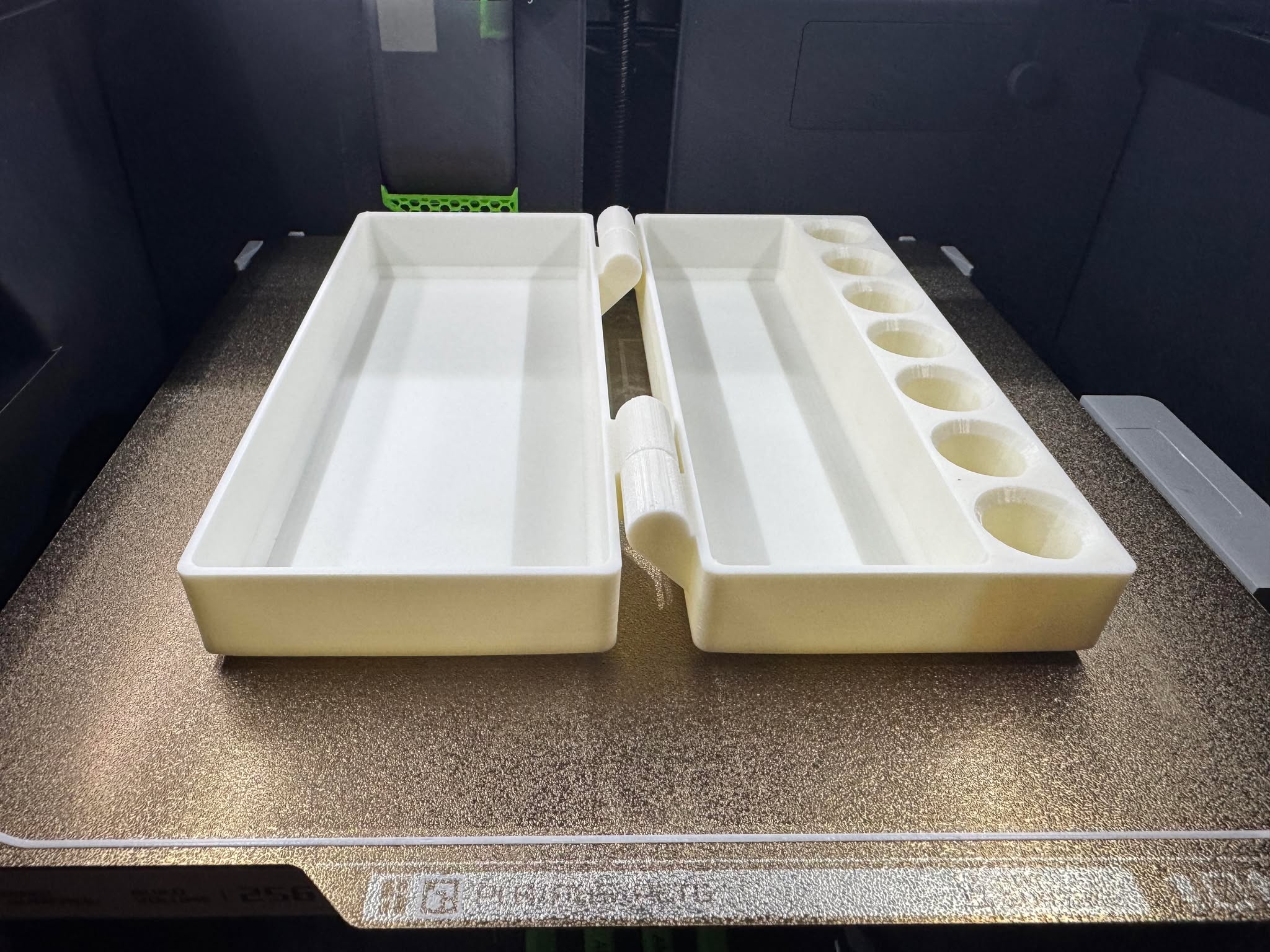 Peptide Case (Fits vials with caps)