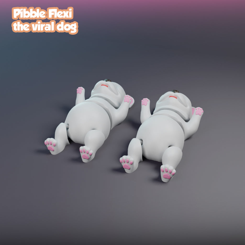 Pibble Flexi, the viral dog - Multi Color