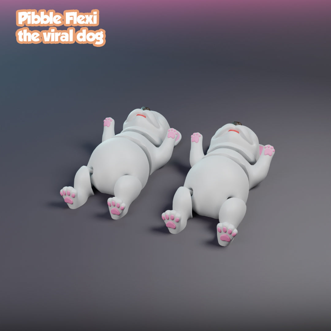 Pibble Flexi, the viral dog - Multi Color