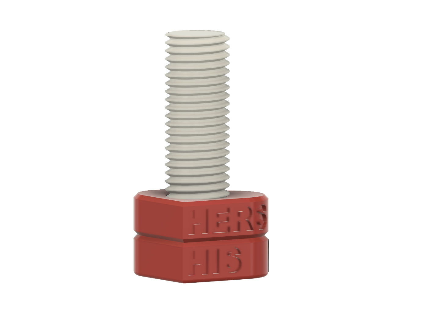 Valentine's Day heart-shaped bolt & nut couple