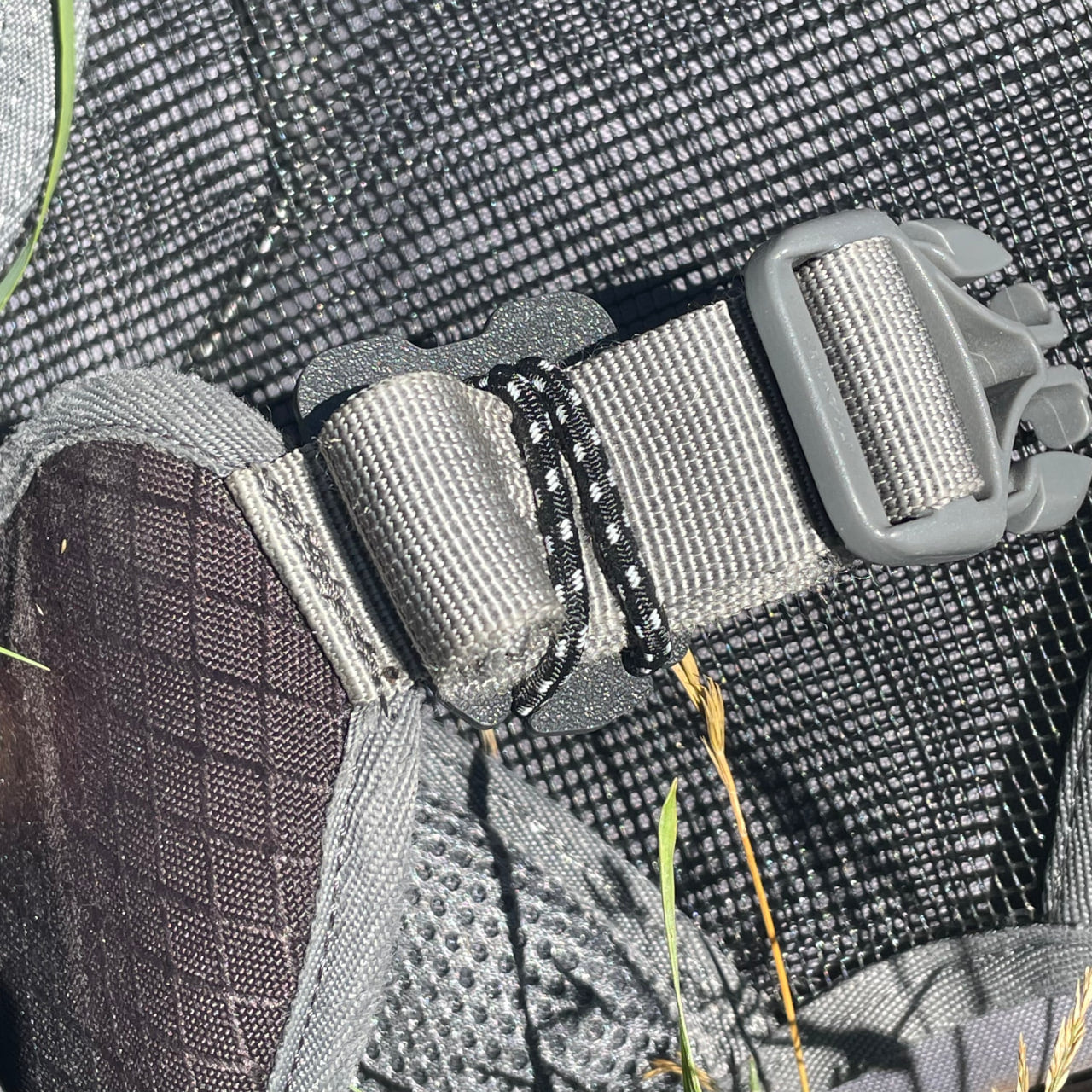 Web Dominator – Strap Clip / MOLLE Backpack