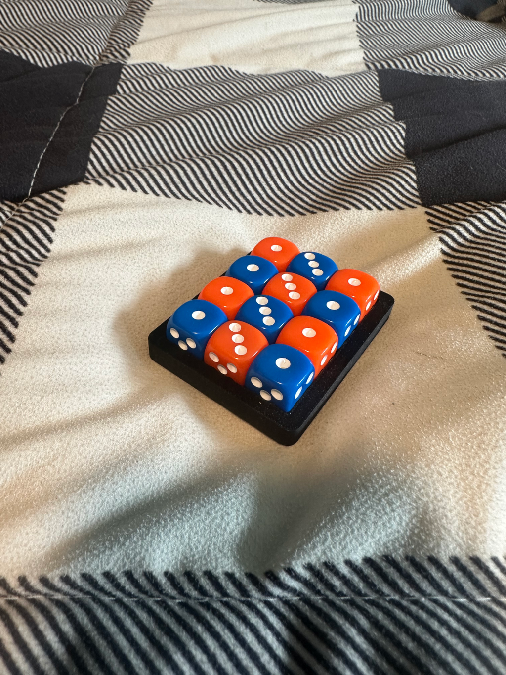 dice holder (12)