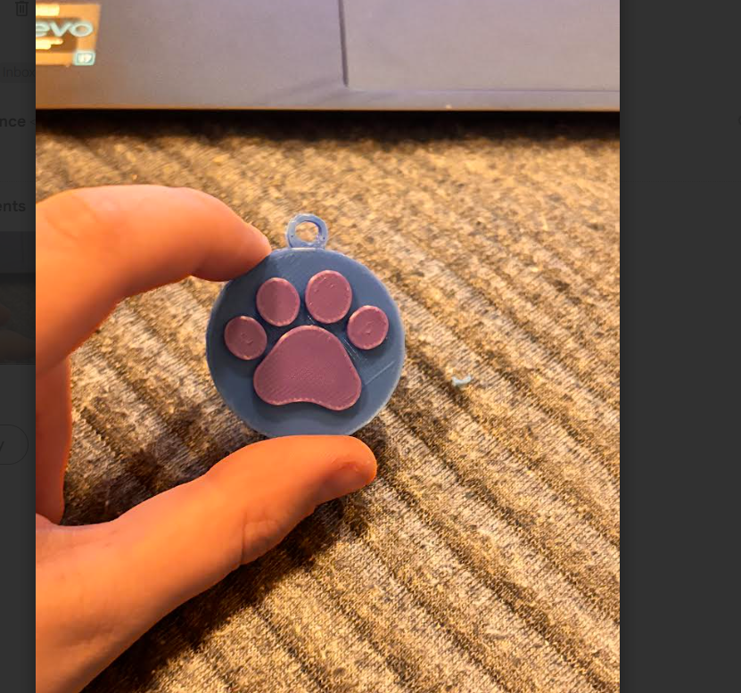 NFC tag for pet keychain