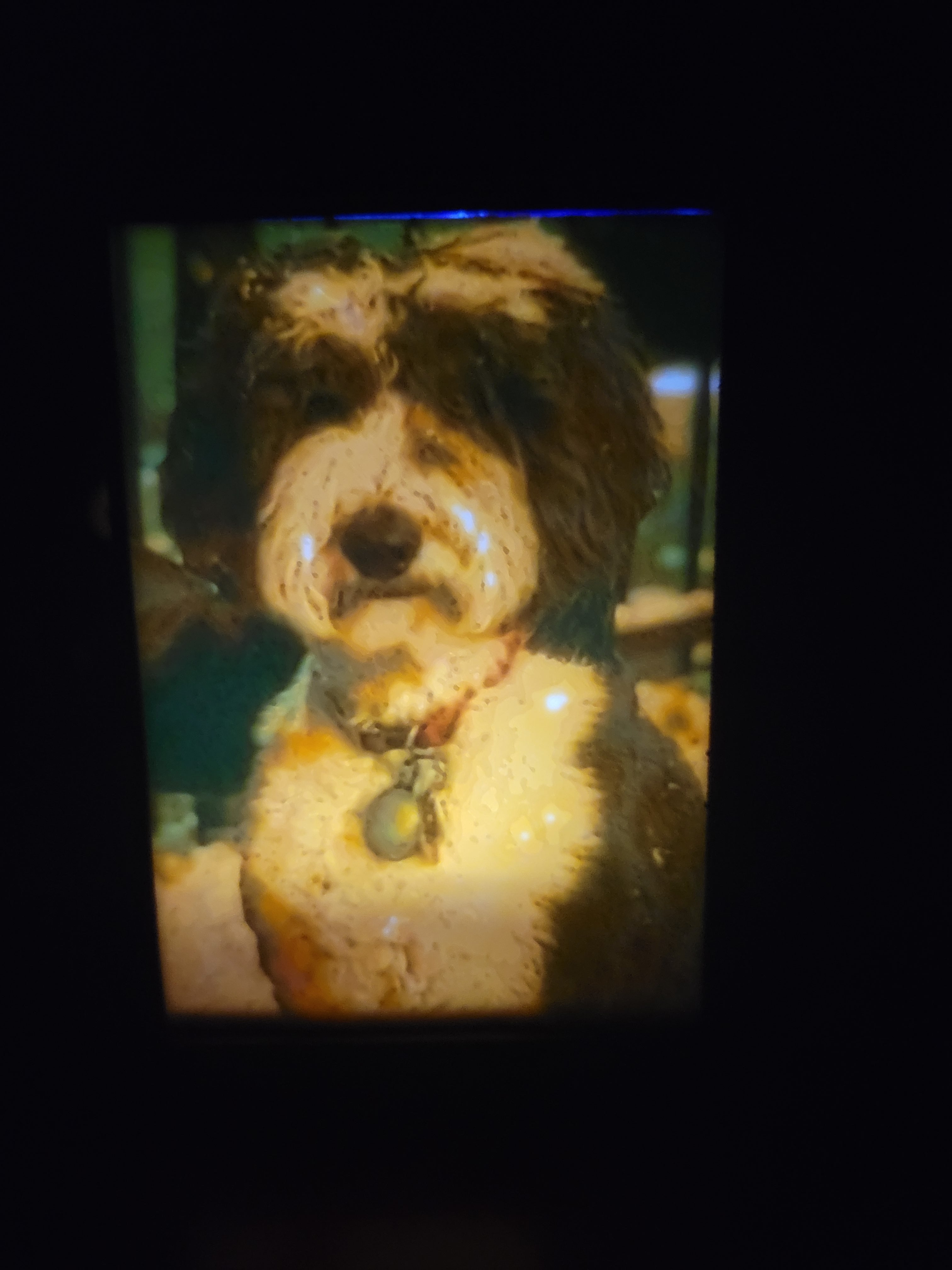 Lithophane Display