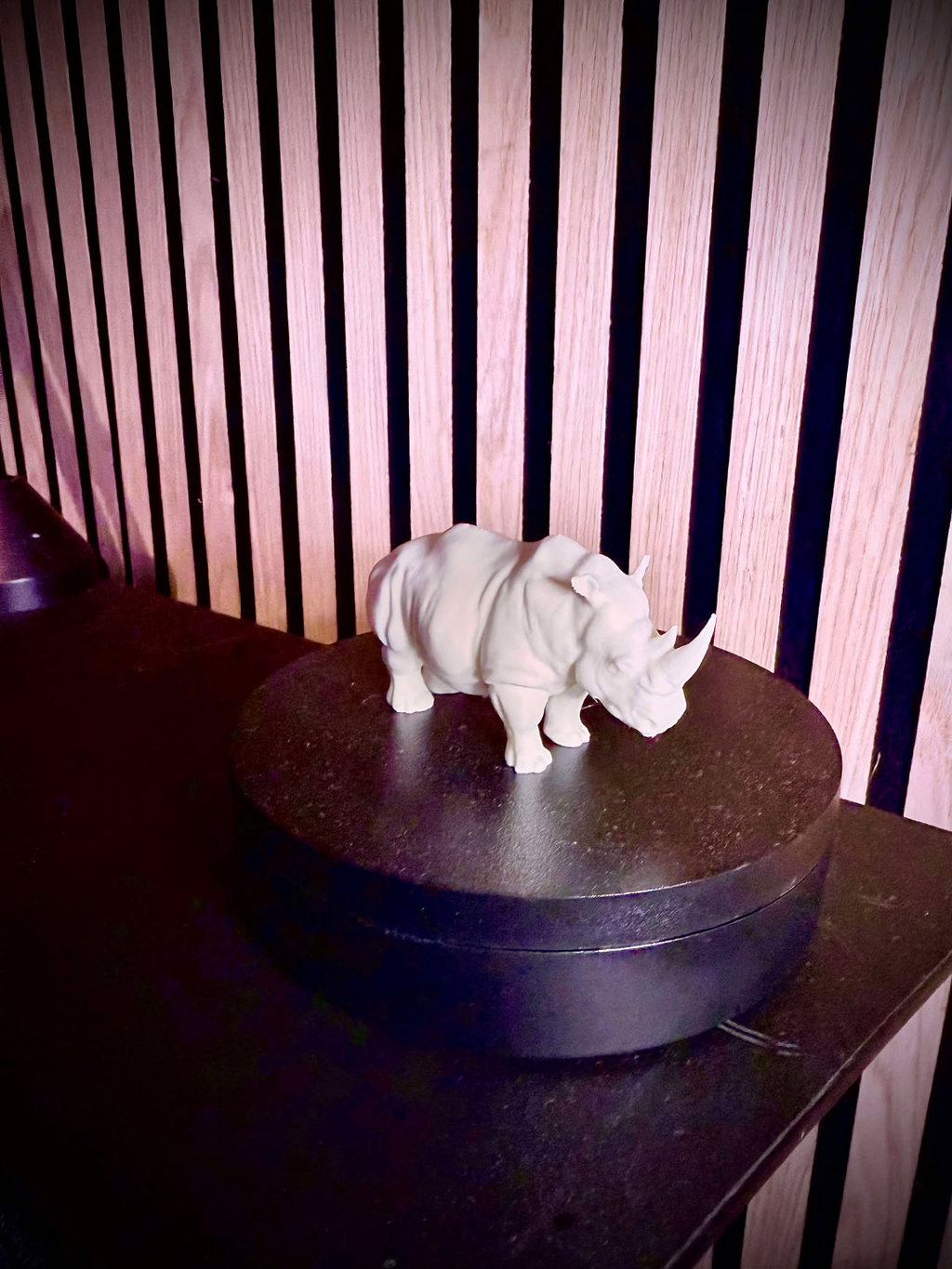 Rhino / Rhinoceros - DND monster
