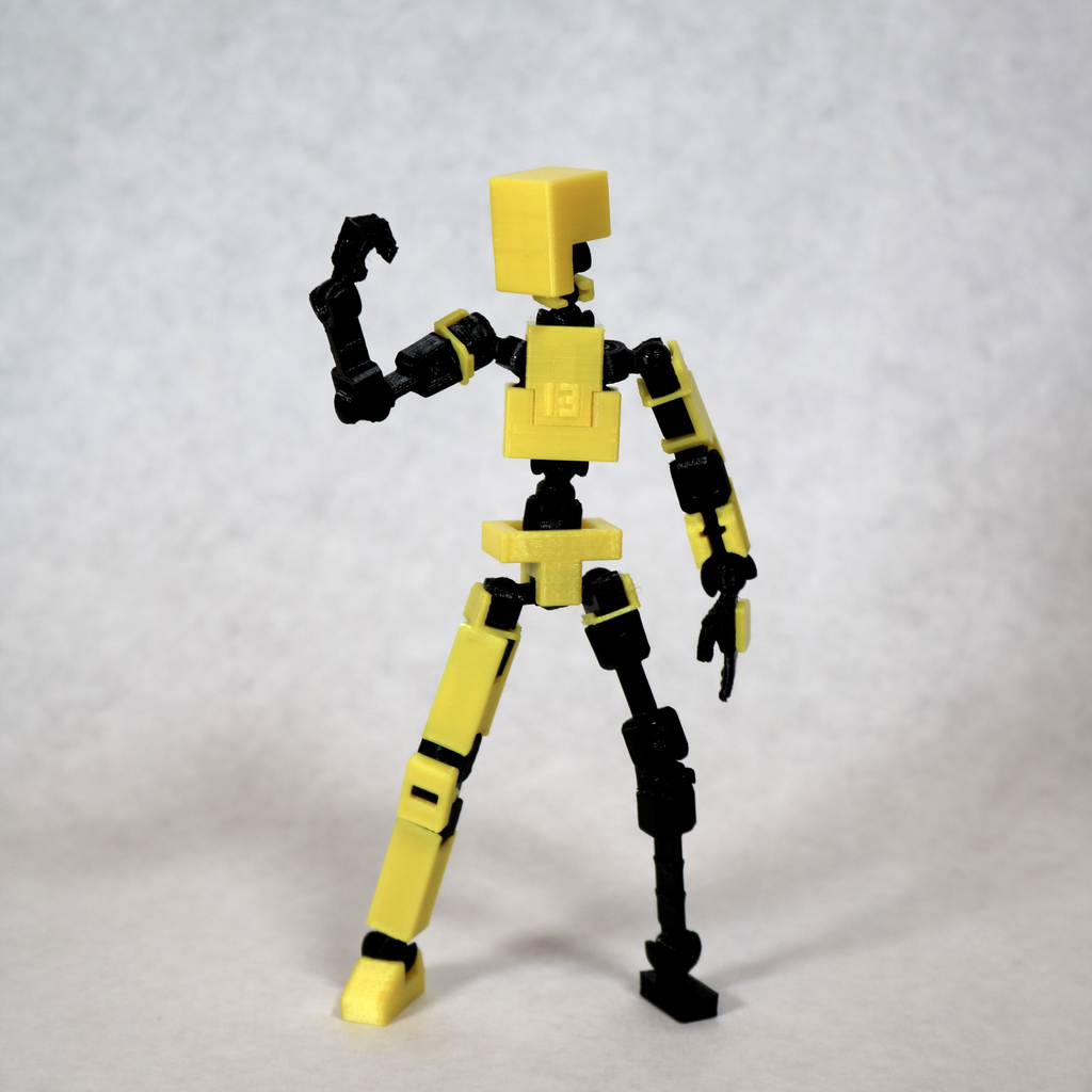 LUCKY 13 Printable Jointed Figure
