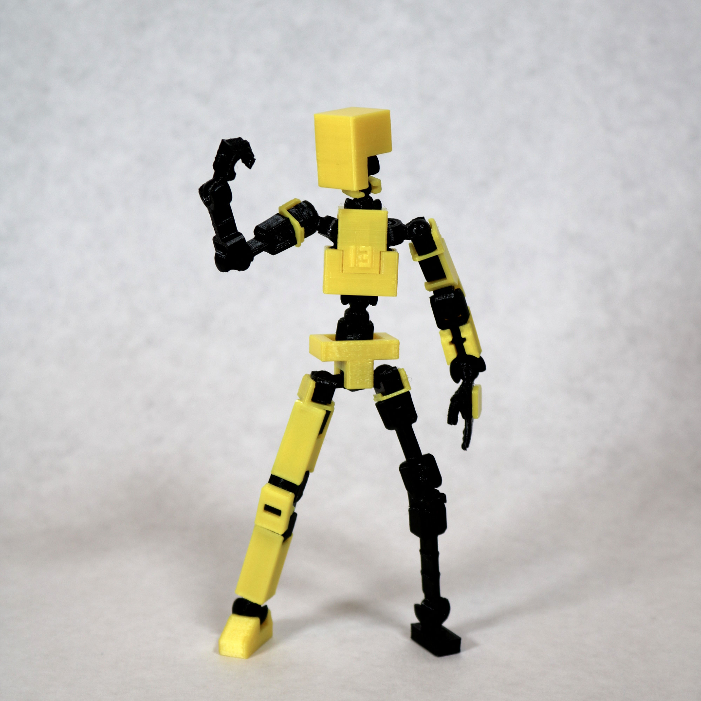 LUCKY 13 Printable Jointed Figure