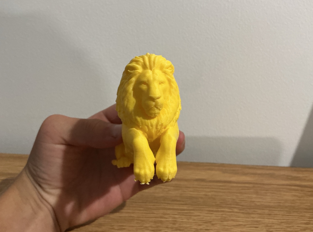 lion sitting on edge