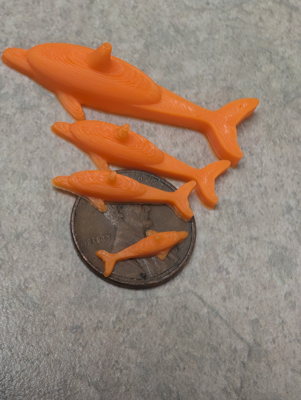 Danny Dolphin the Benchy Buddy