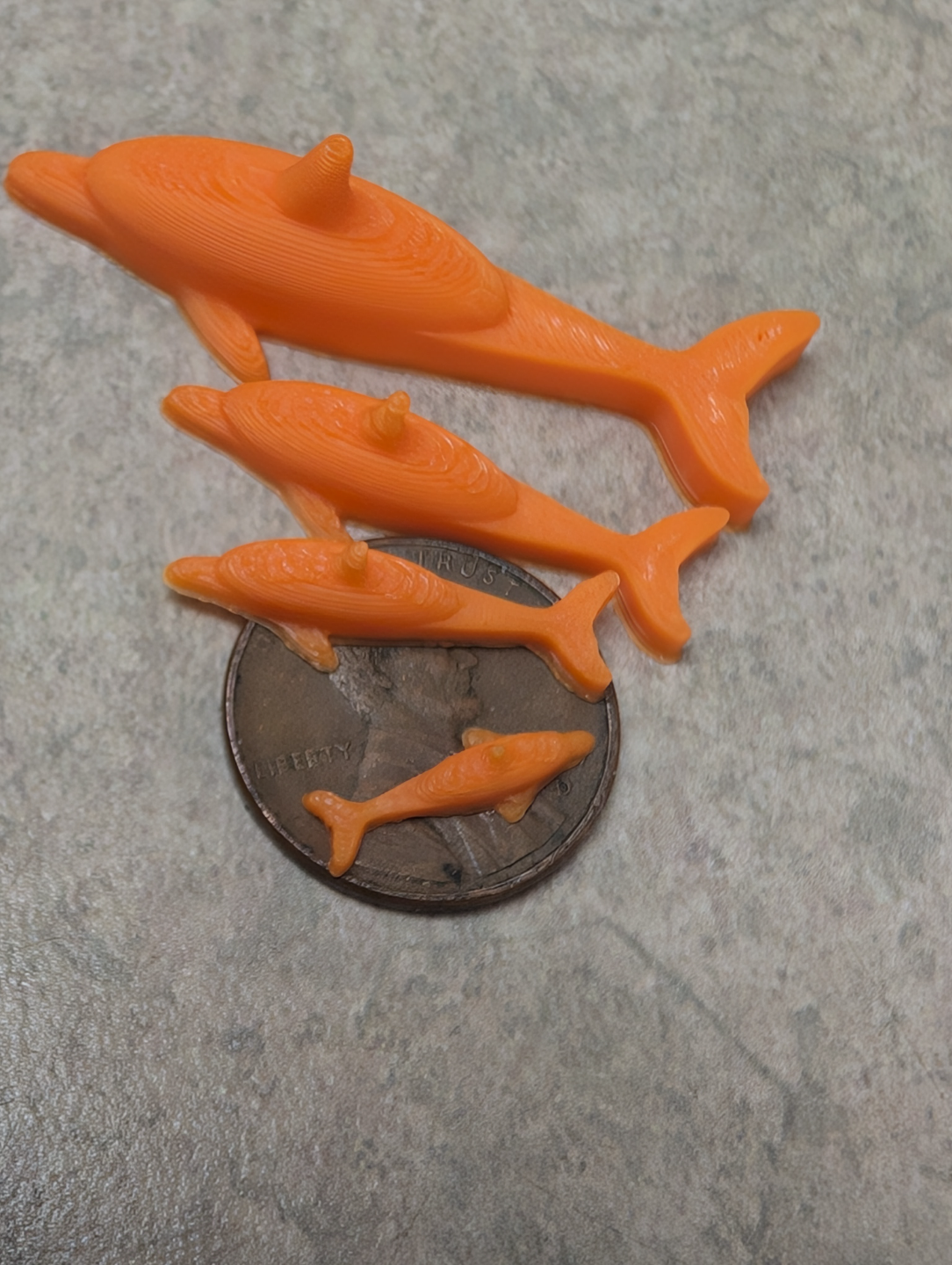Danny Dolphin the Benchy Buddy