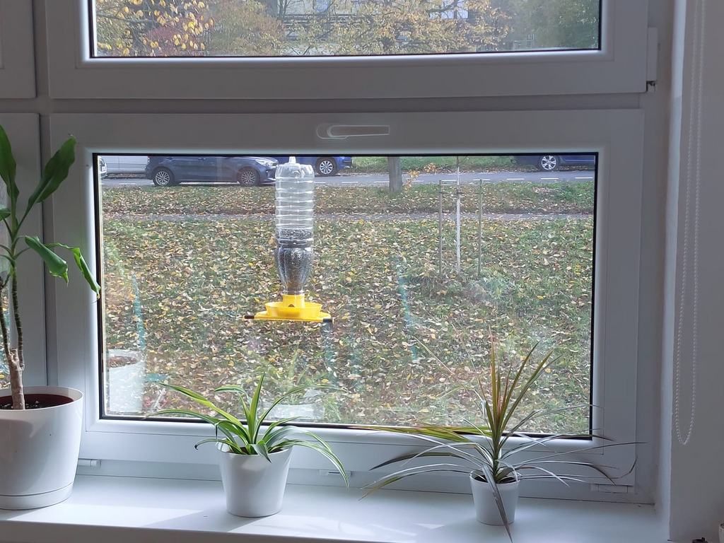 Window bird feeder for Cappy and Relax bottles