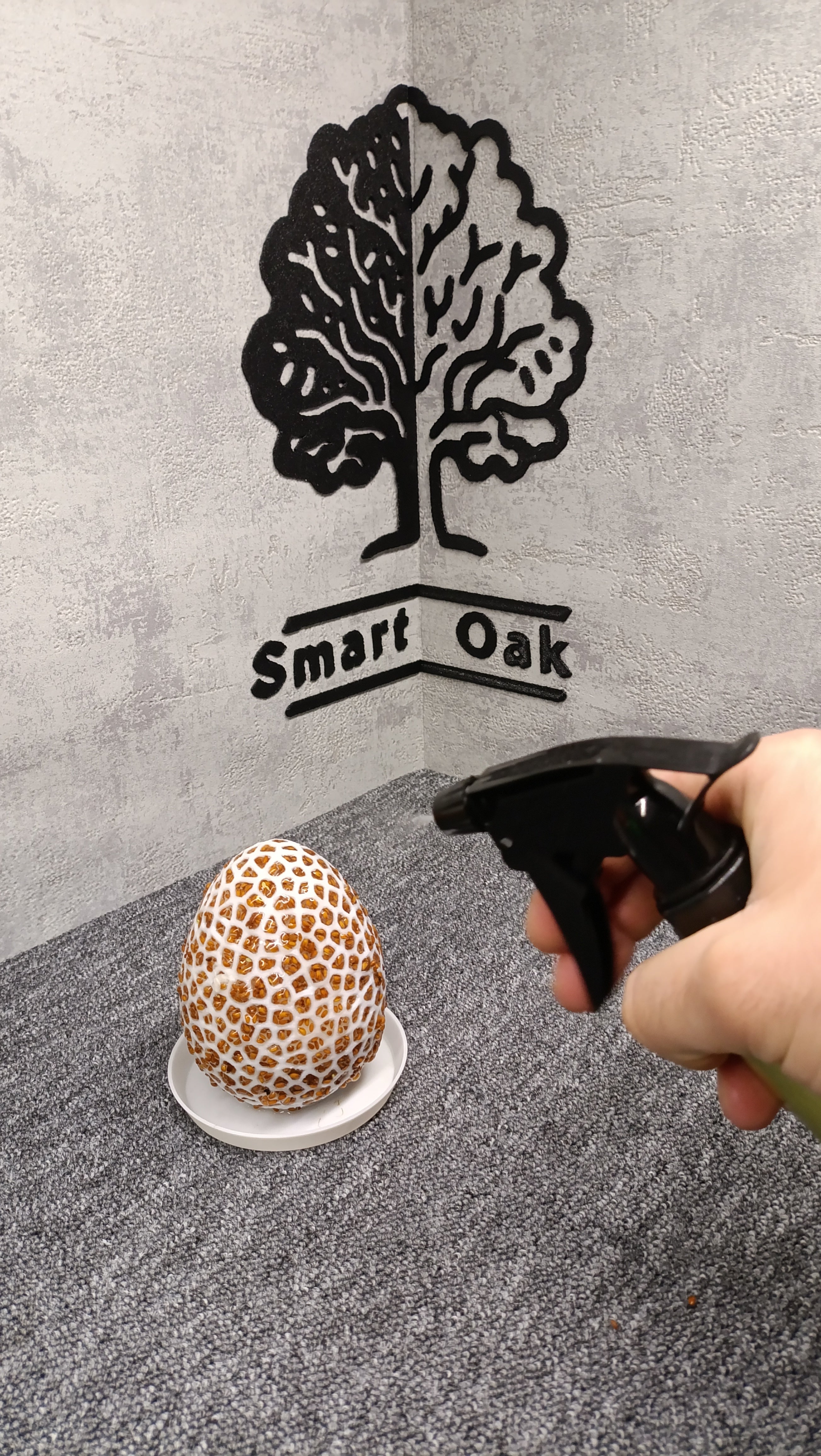 Easter egg for cress/Wielkanocne jajko na rzeżuchę