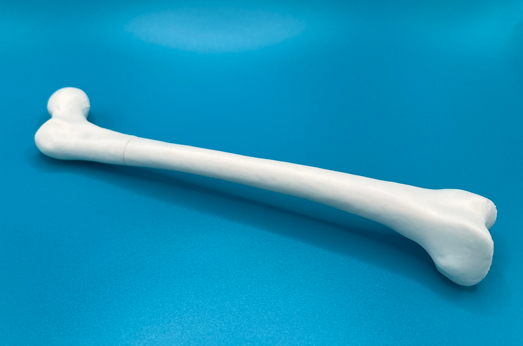 Femur (Thigh Bone) Pen