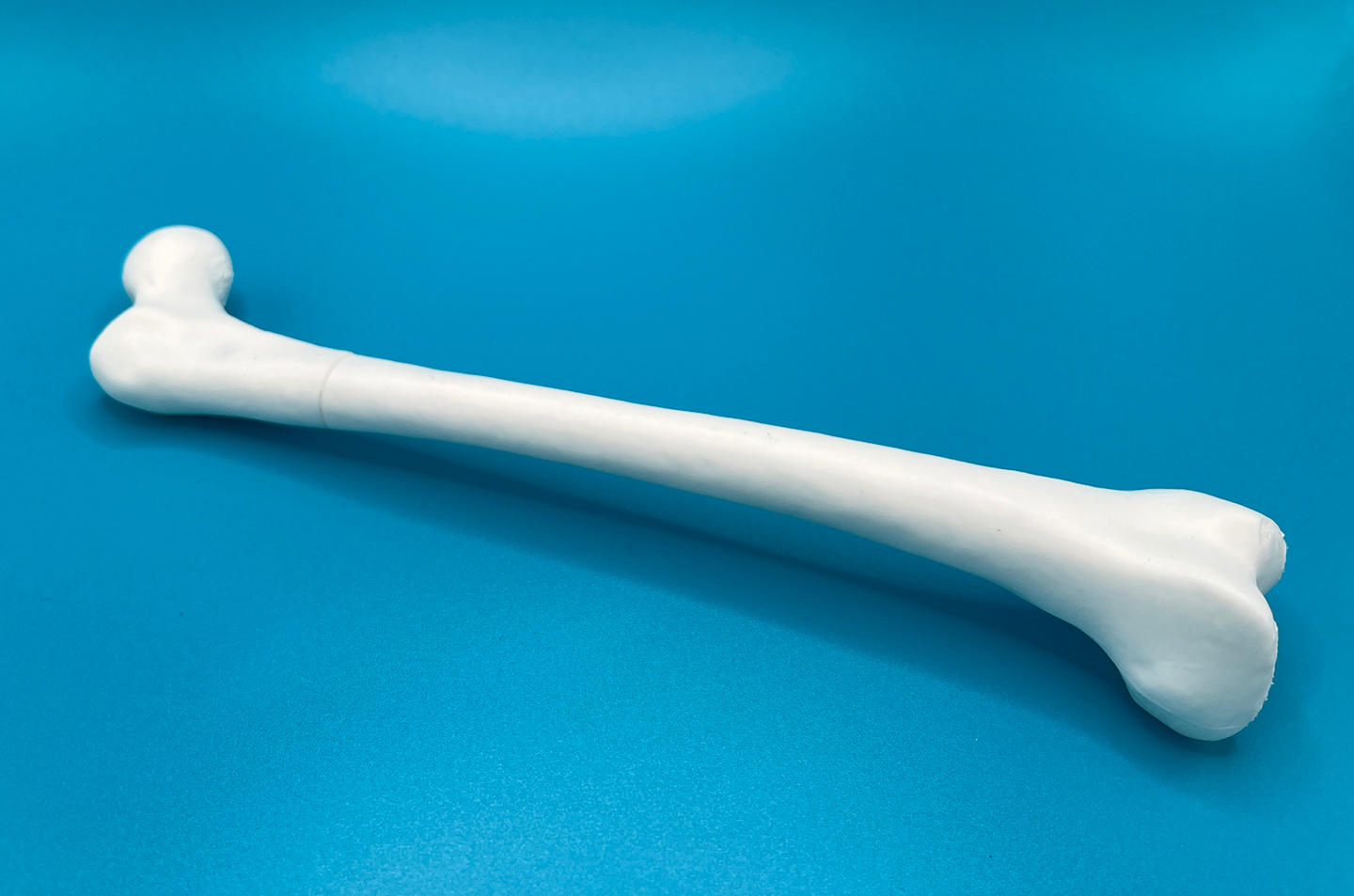 Femur (Thigh Bone) Pen