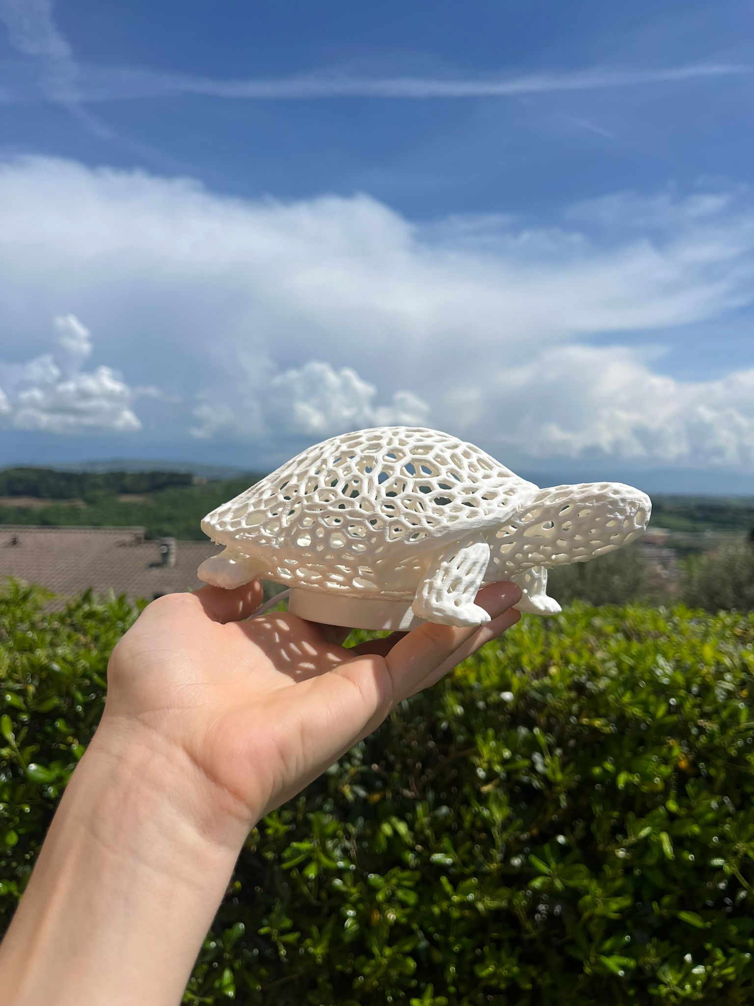 Lampada a forma di tartaruga