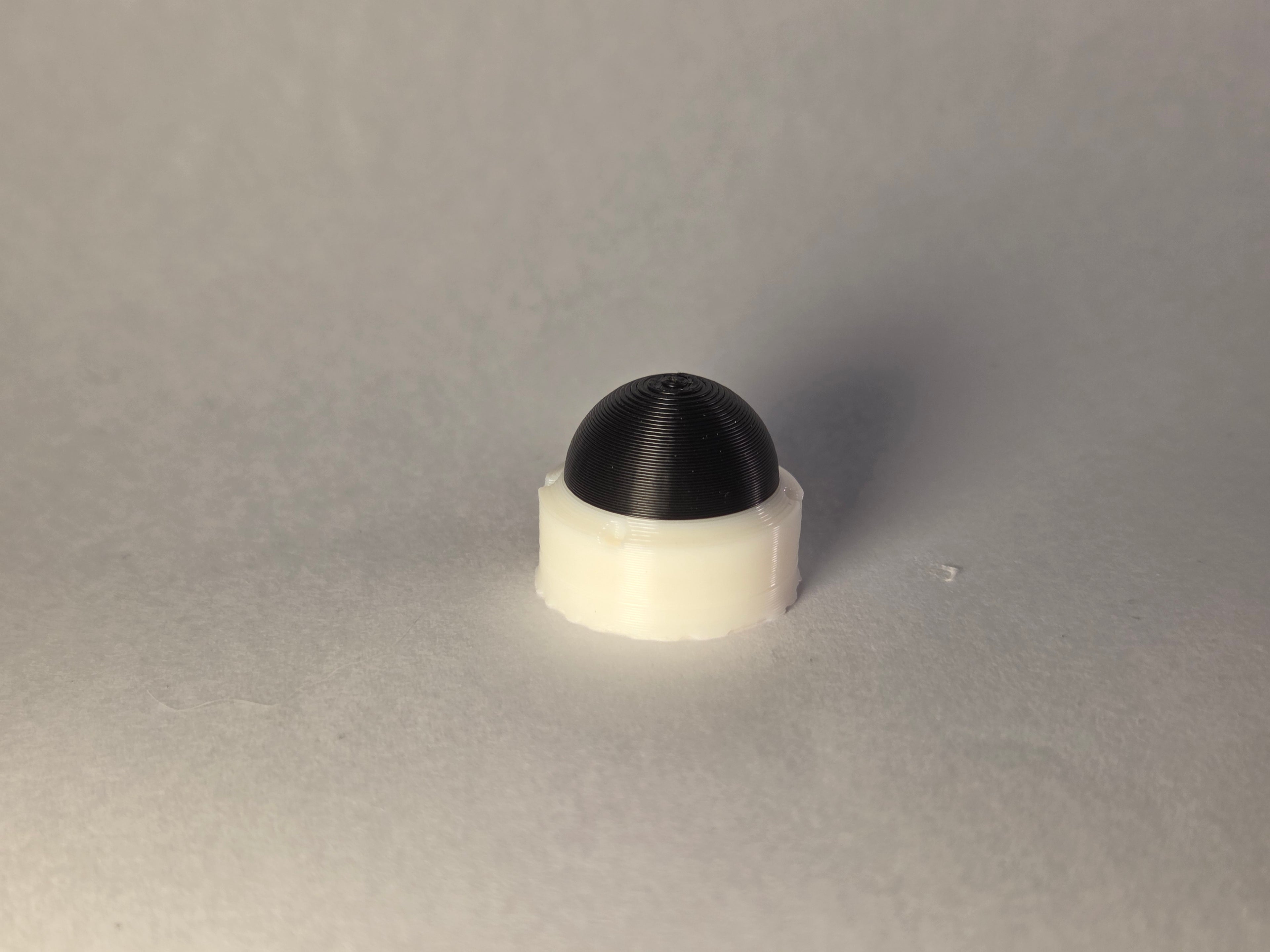 Fake Dome Camera