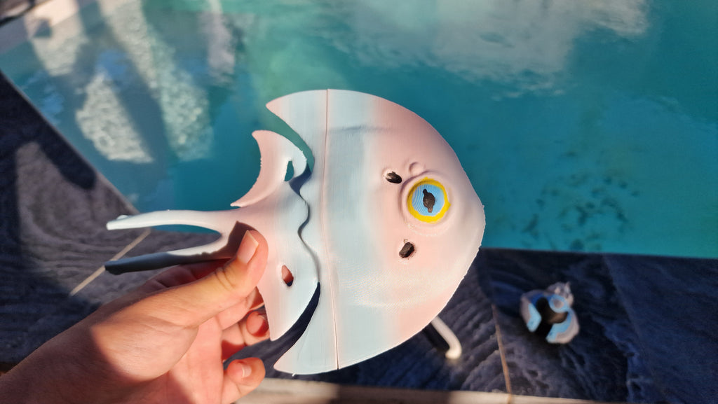 Subnautica 2 - Halfmoon Fish