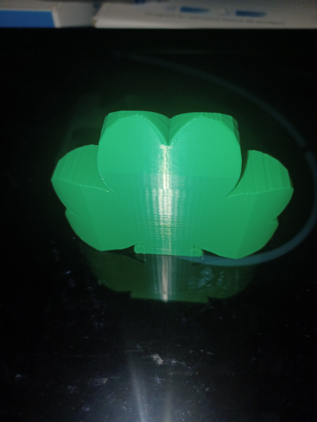 Lucky Shamrock Buddy