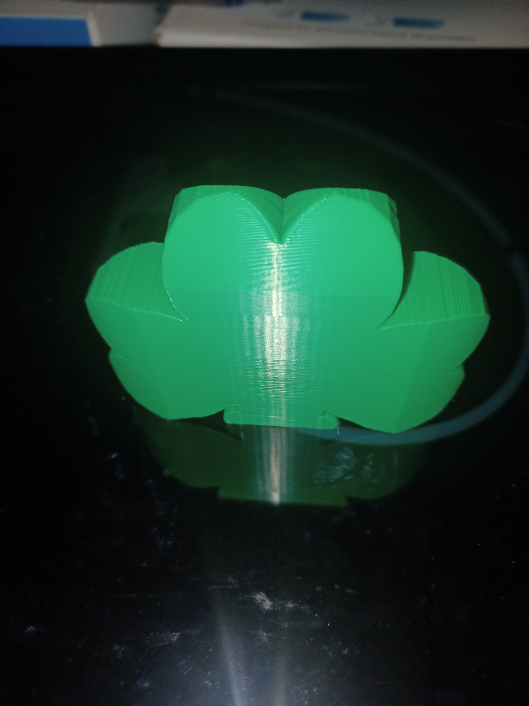Lucky Shamrock Buddy
