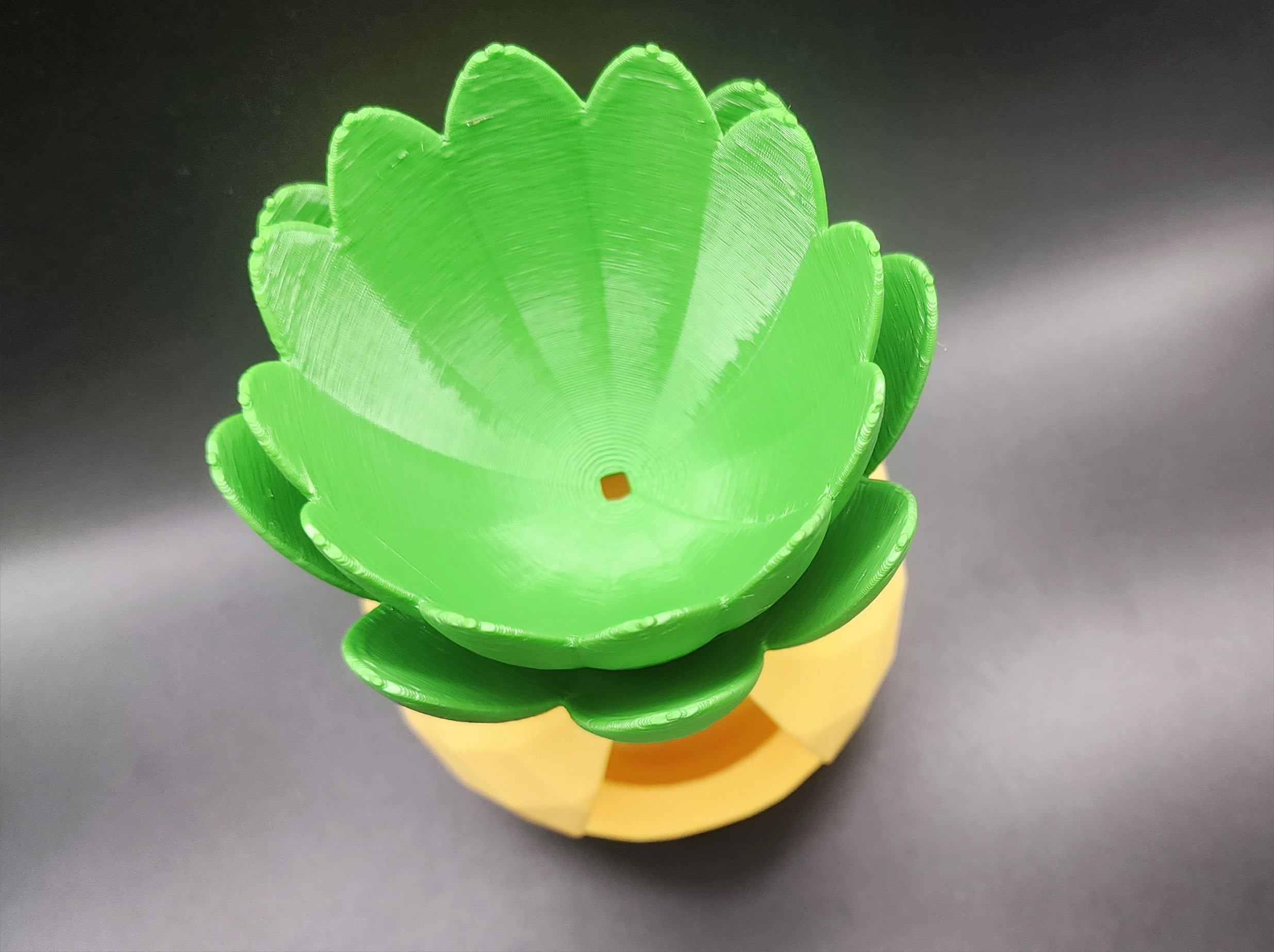 ♡♡ Heart-Eyed Pineapple Planter w/drainage or solid