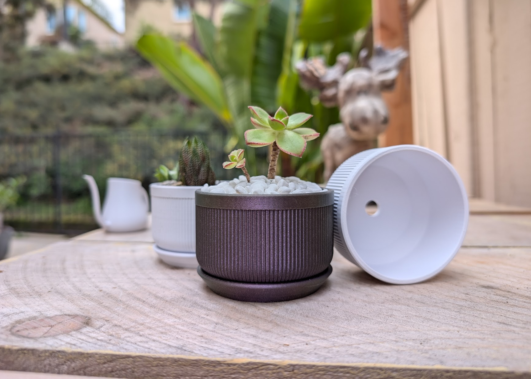 Mini Succulent Planter & Watering Can