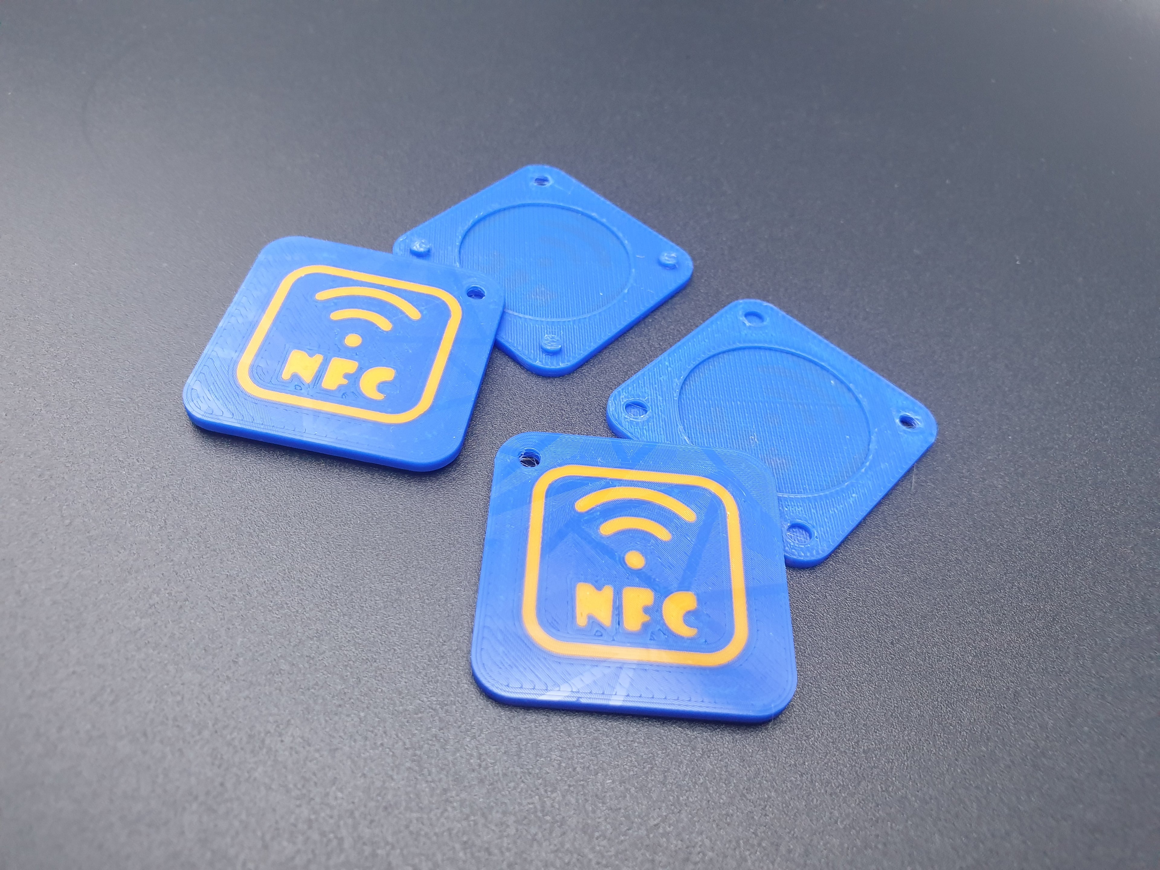 NFC Tag Keychain