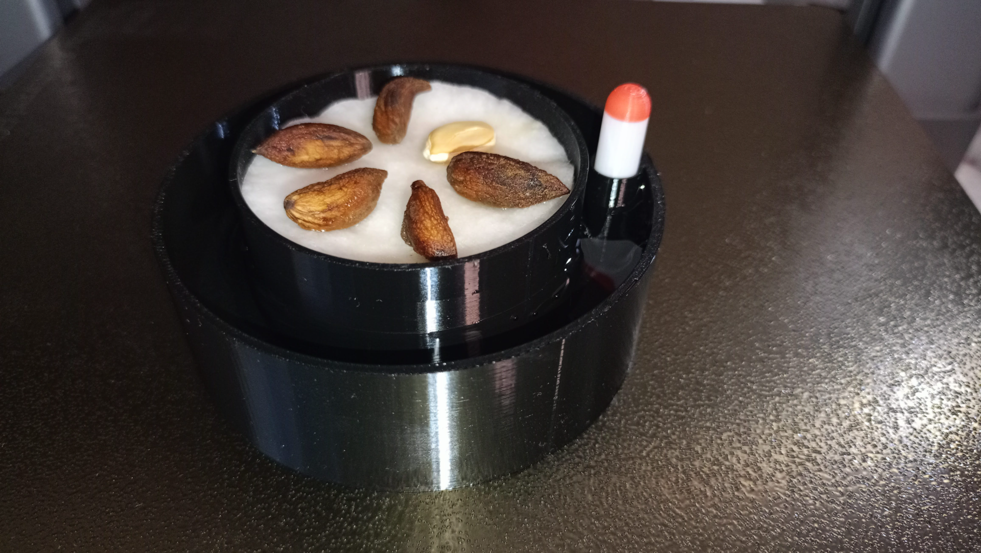 Self Watering sprouter with water level indicator