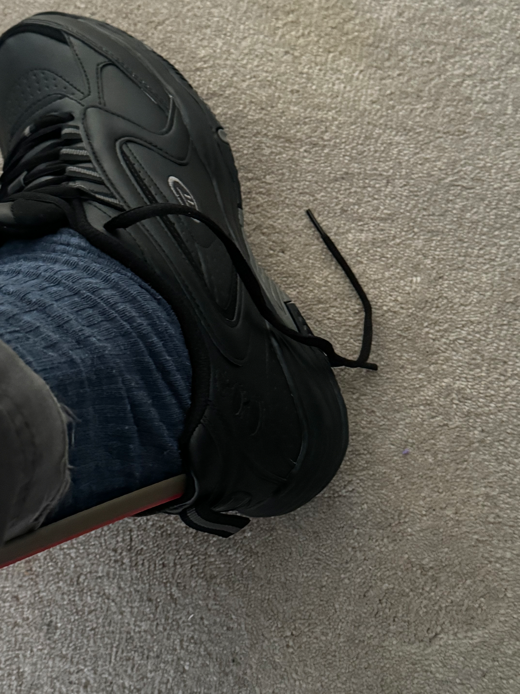 Shoe horn