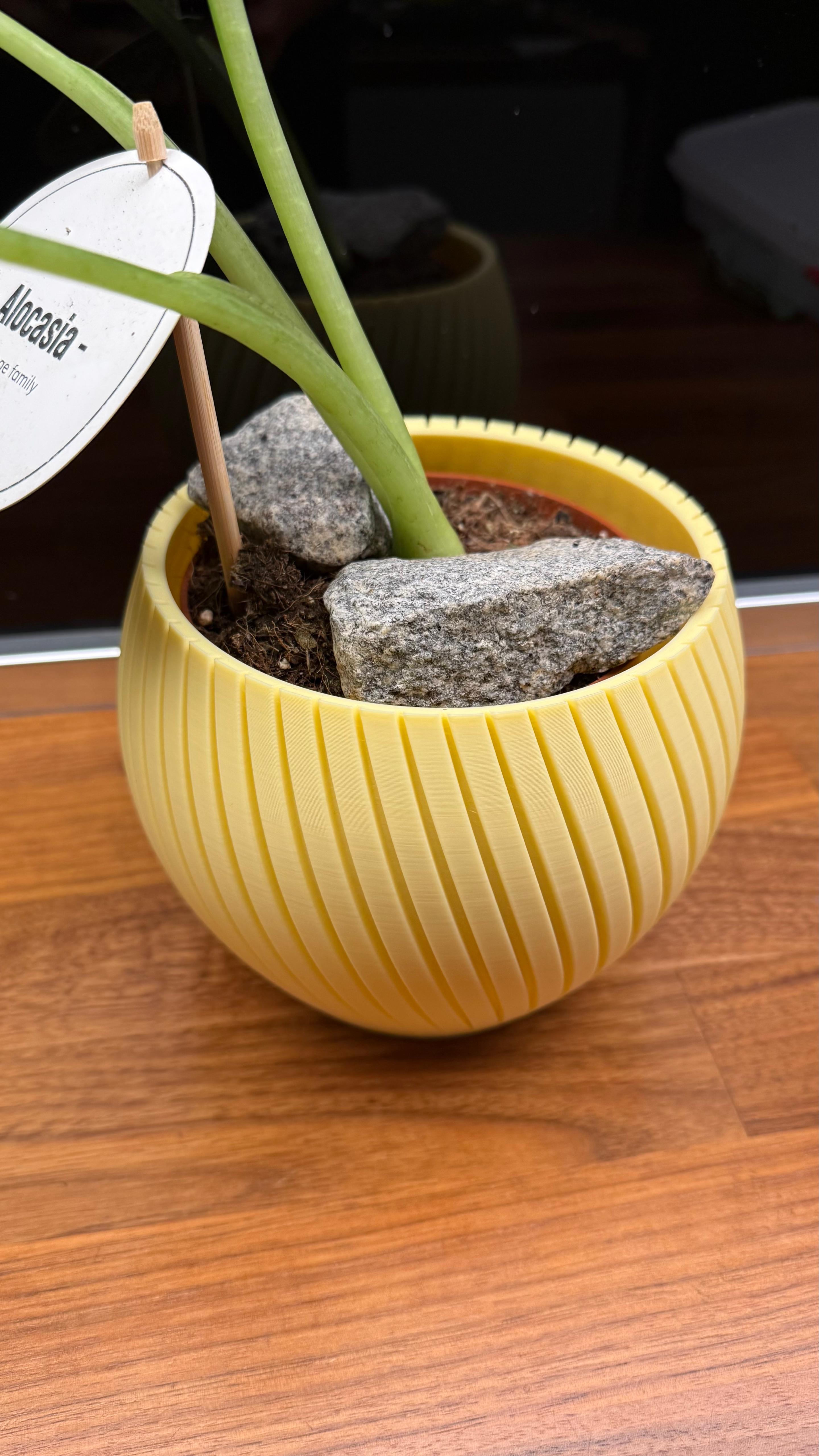 Flower - Plant Pot ( Medium Size )