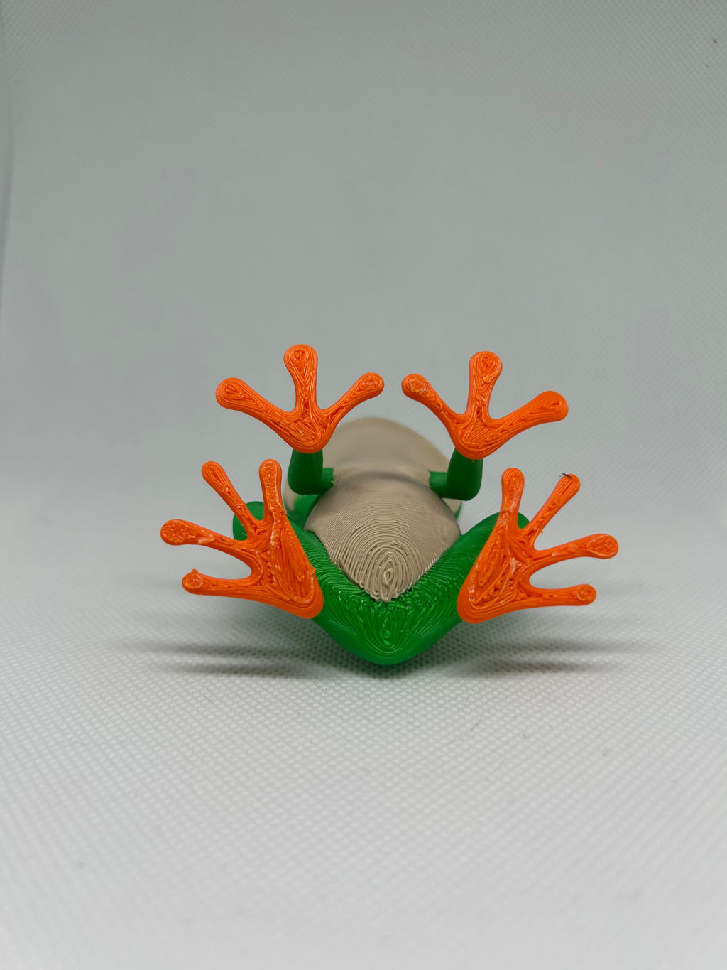 Frog - Happy Tree Frog