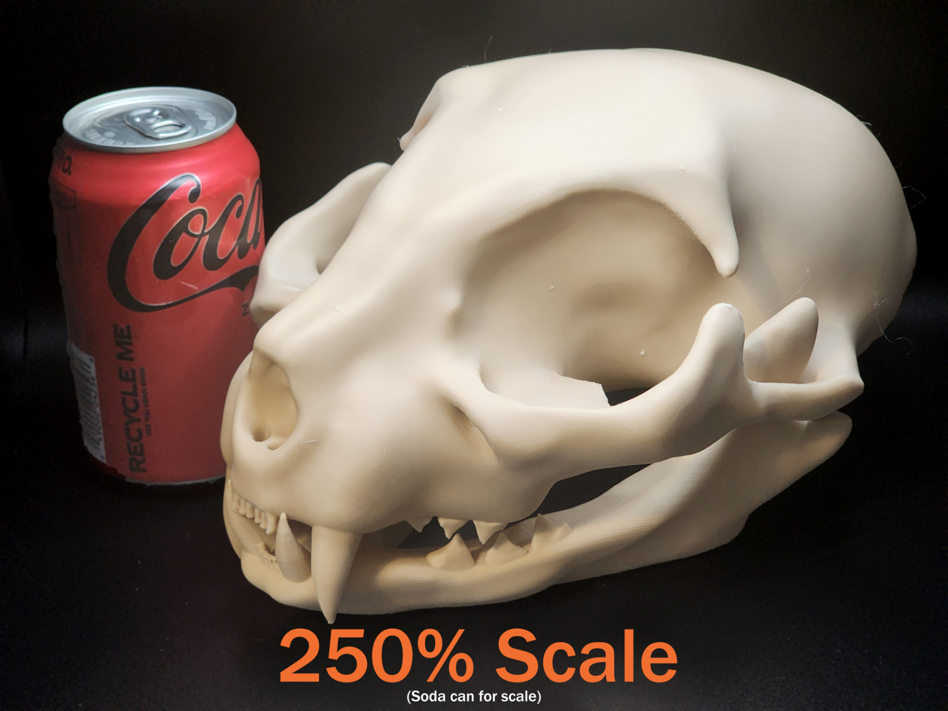 Cat Skull - Easy(ish) Print