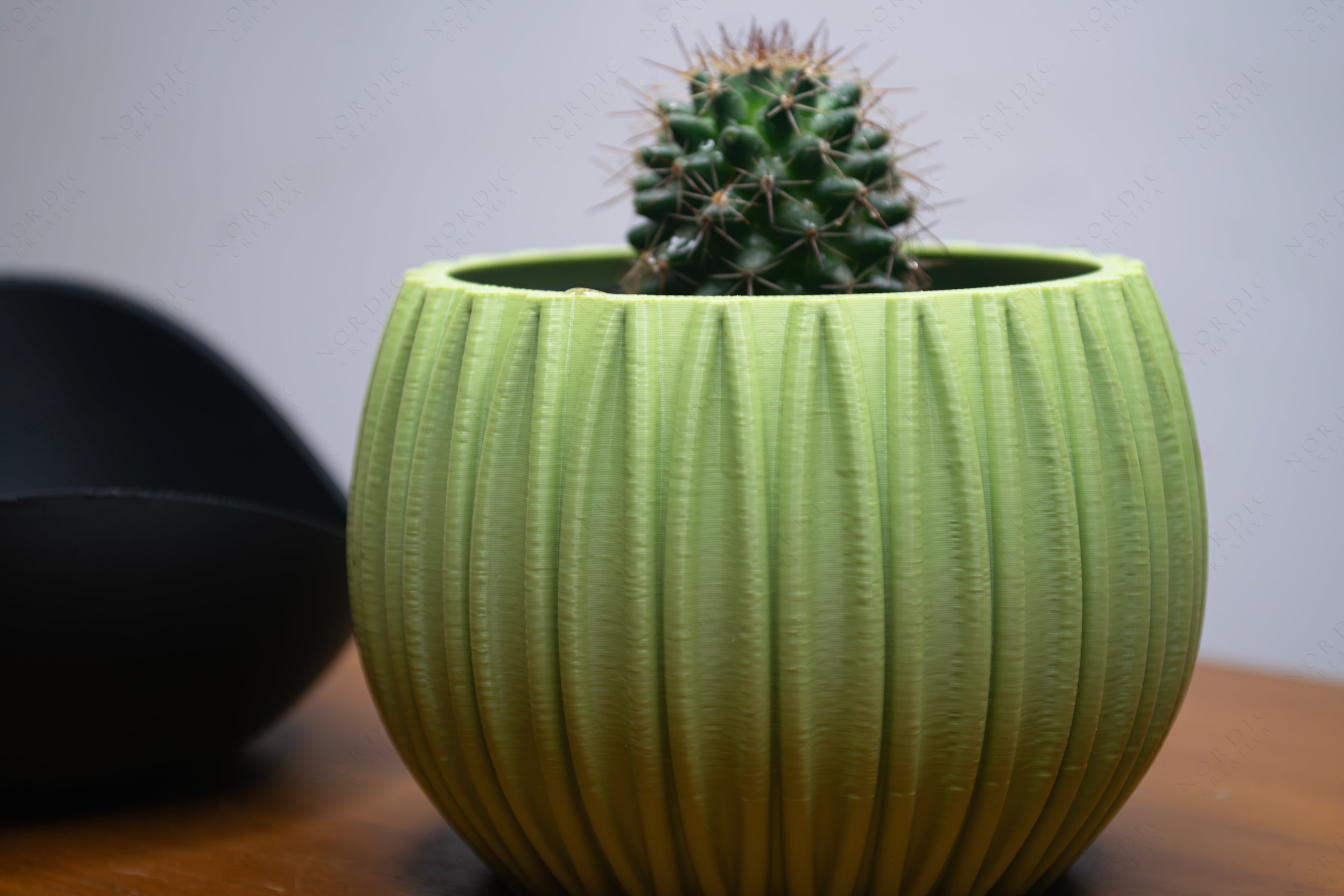 Indoor Plant Pot with Base Free Commercial License
