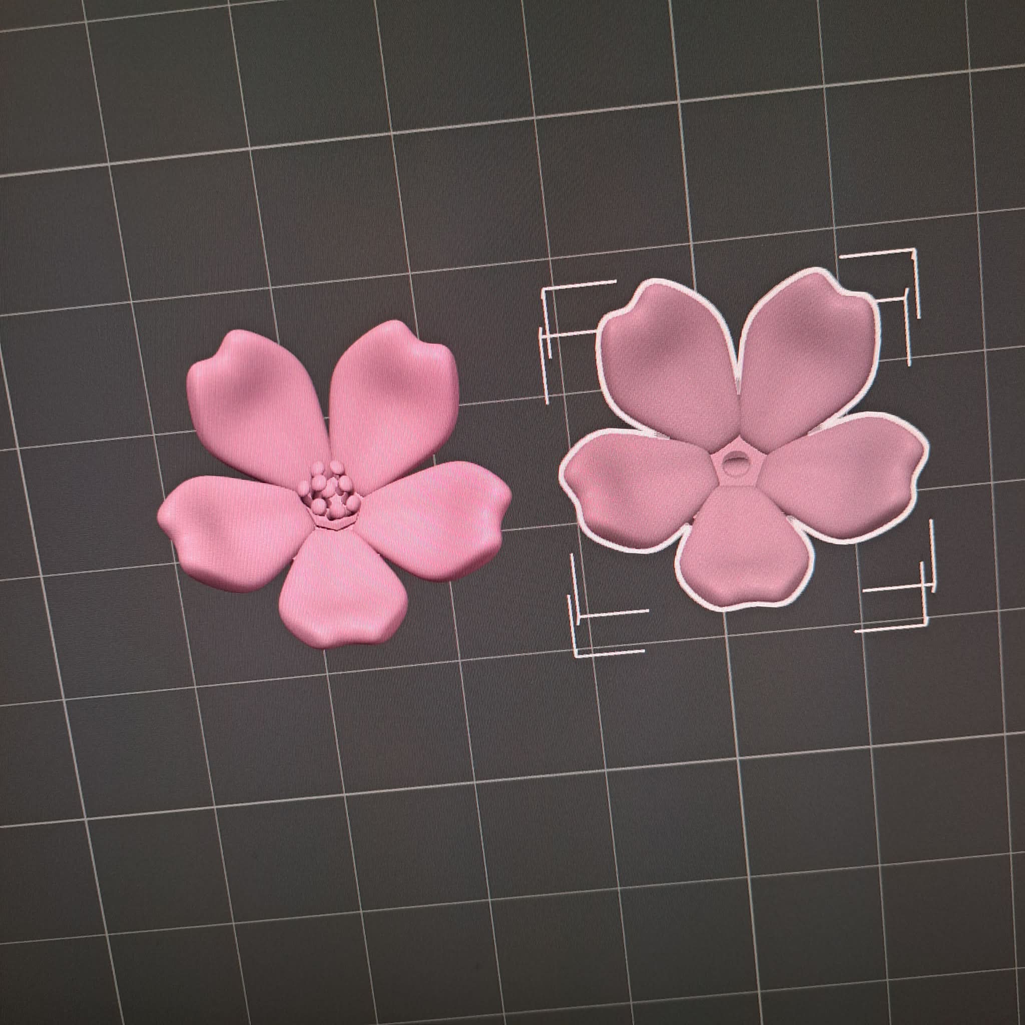 Cherry Blossom Flower – Sakura Single Flower Model