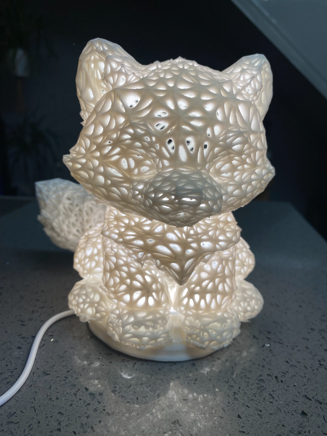 fox LED lamp kit-001