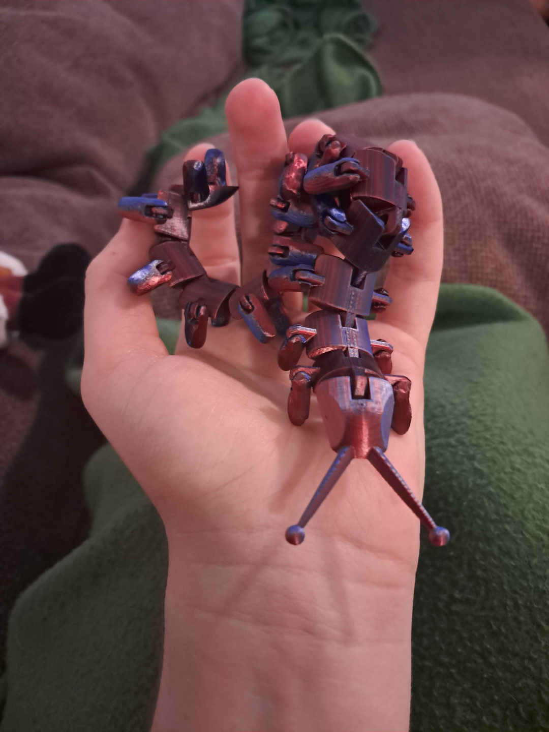 flexy Velvet worm