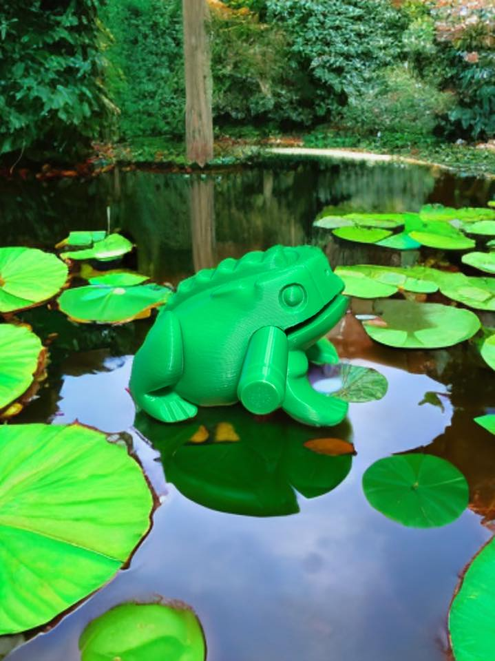 Percussion Frog,