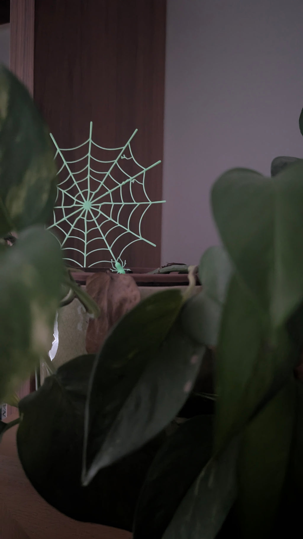 Spiderweb Glow