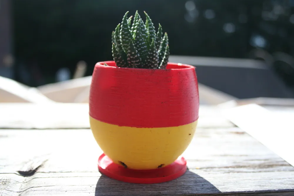 Simple Small Succulent Planter
