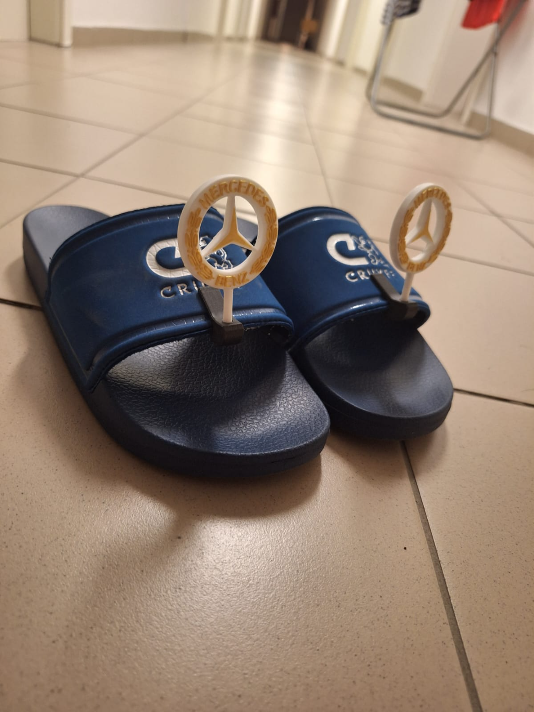 THE FASTEST SLIPPERS