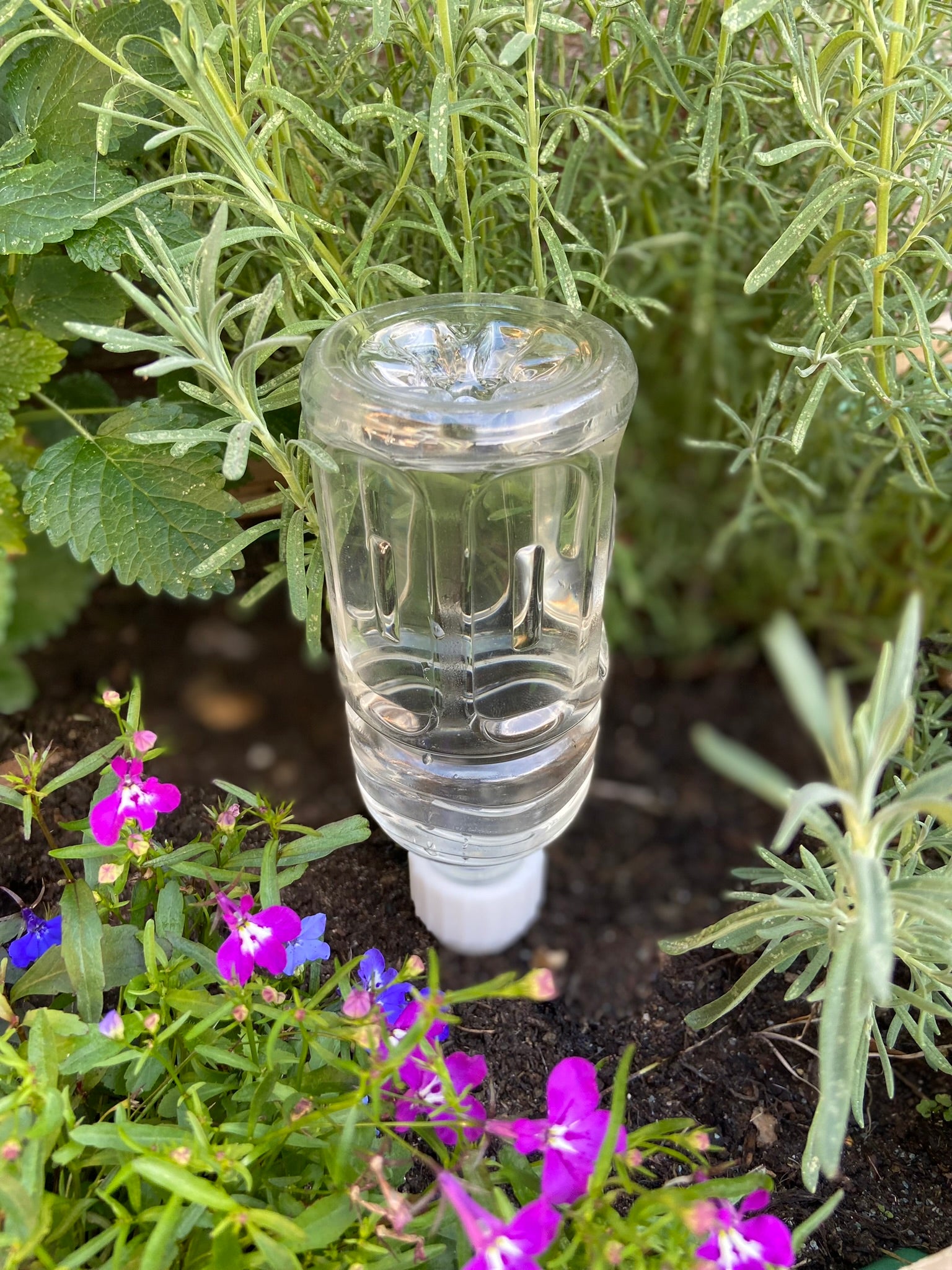 PET Bottle Watering Spikes Slow Watering
