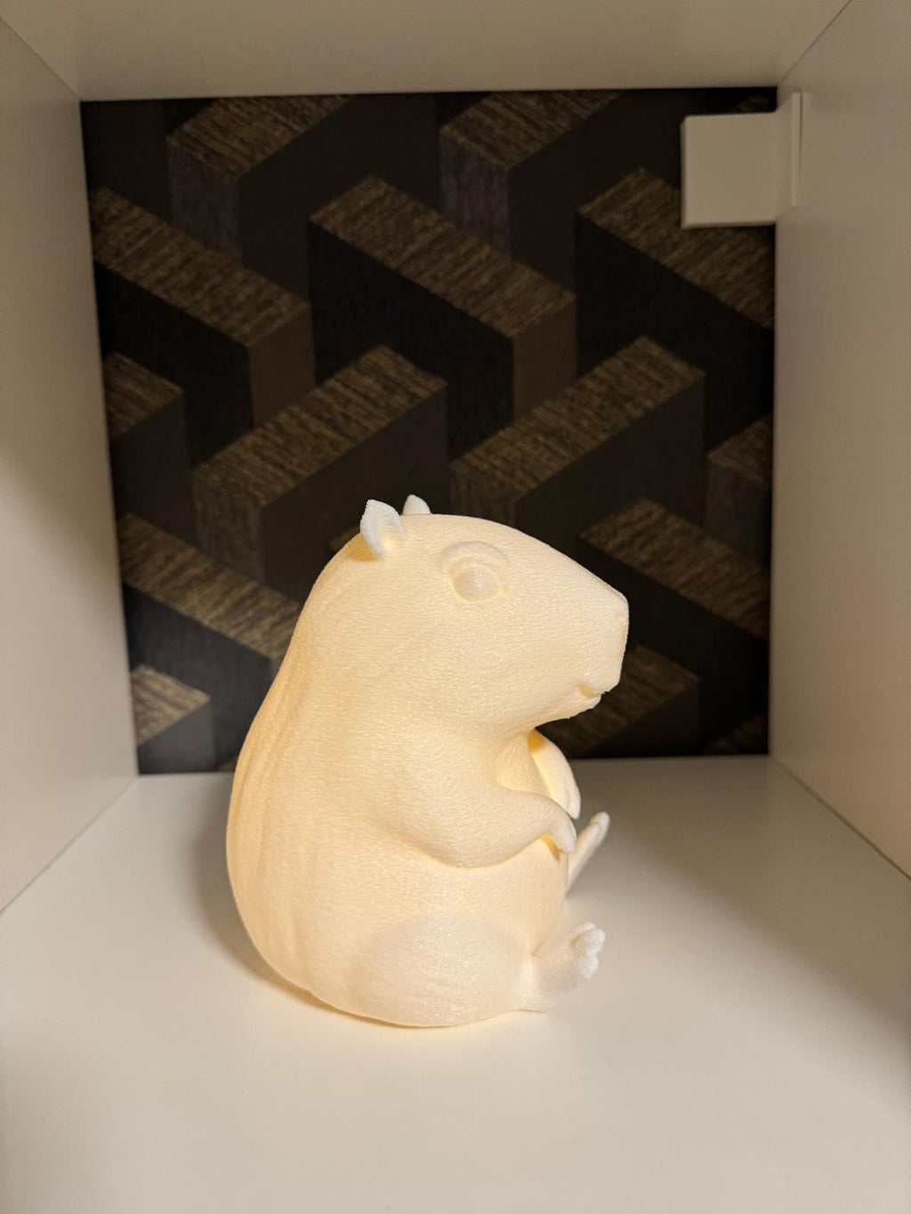 Capybara LED