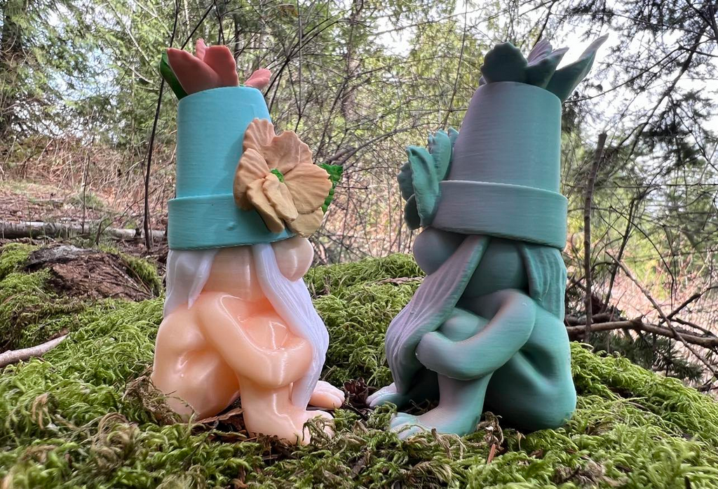 Sneaky Garden Gnome