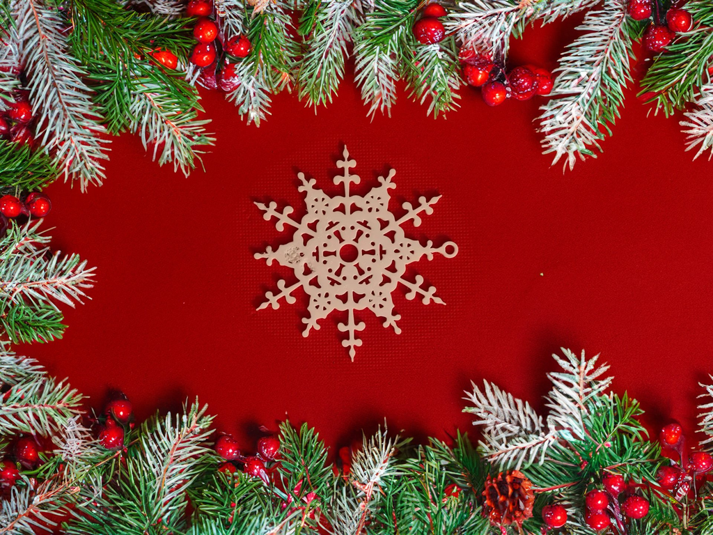 Snowflake Winter Wonderland