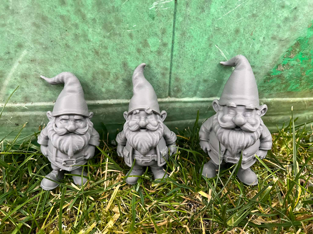 Garden Gnome, Dwarf