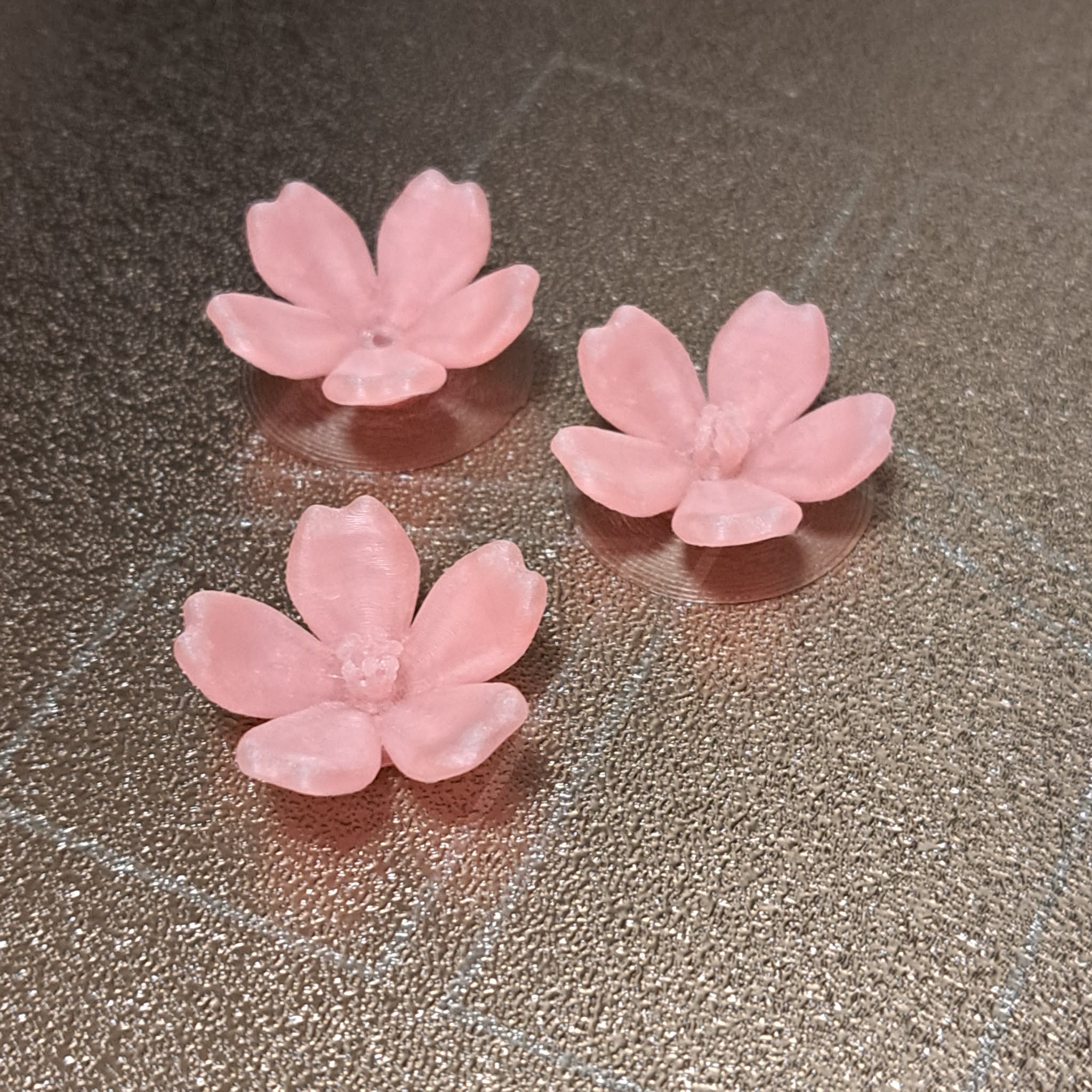 Cherry Blossom Flower – Sakura Single Flower Model
