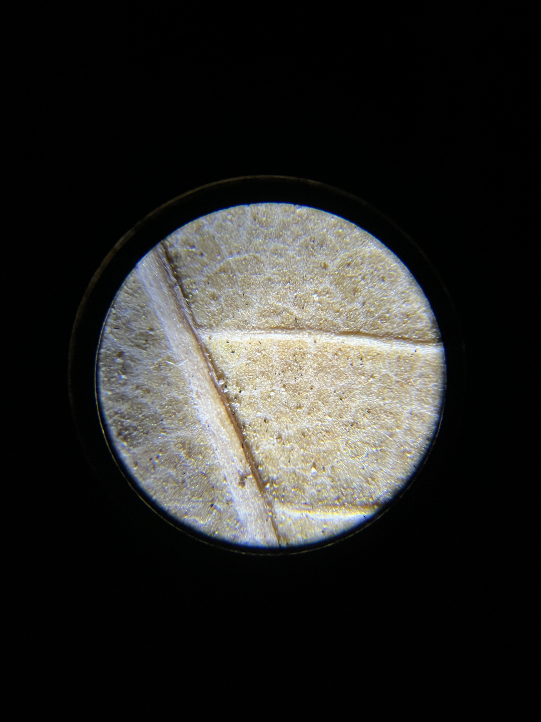 Microscope Phone Camera Adapter