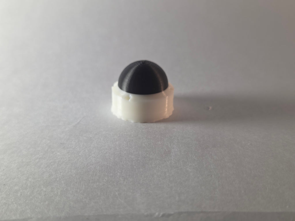 Fake Dome Camera