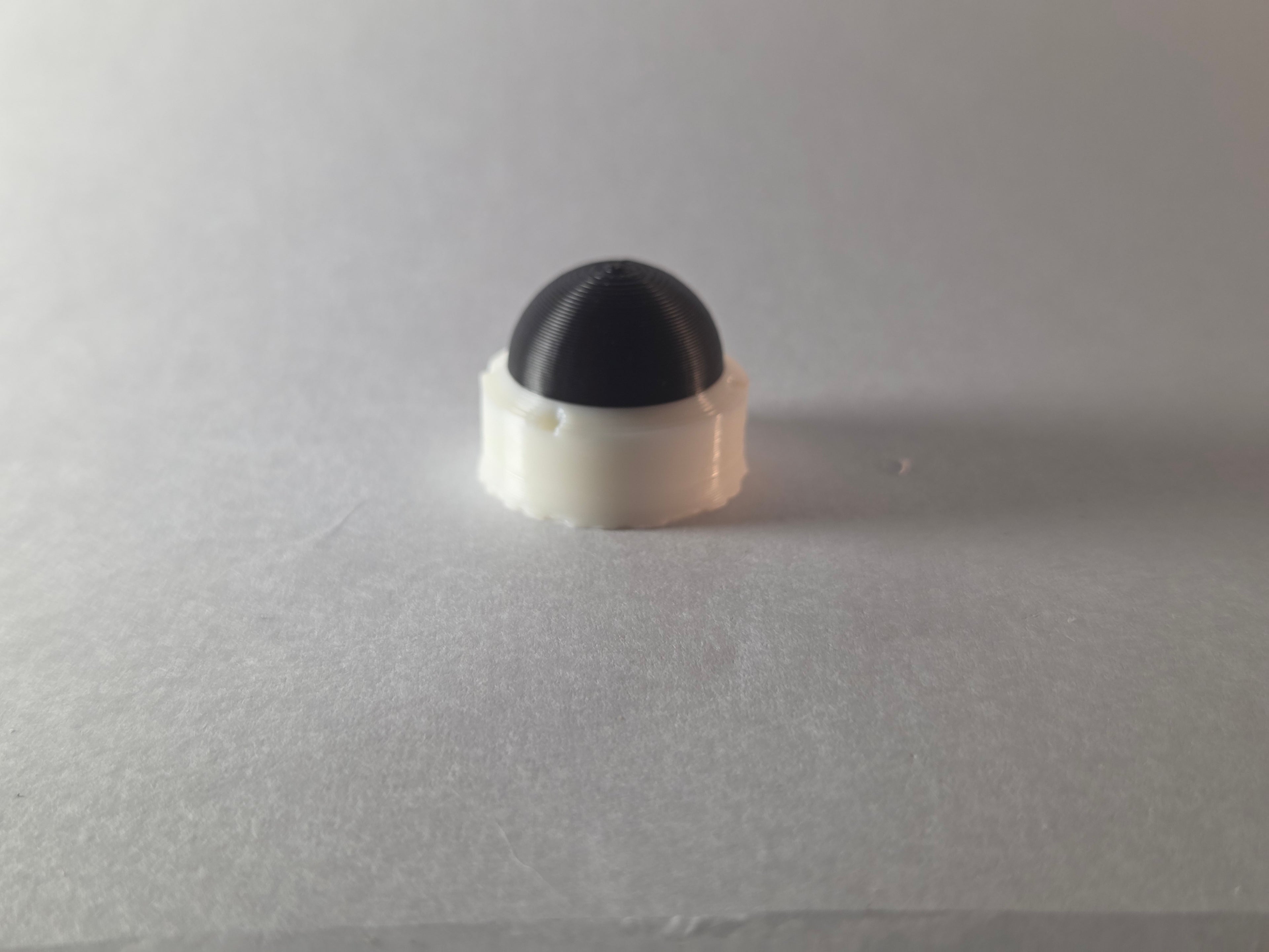 Fake Dome Camera